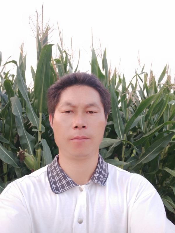 四海游龙的第一张照片--连江相亲服务中心
