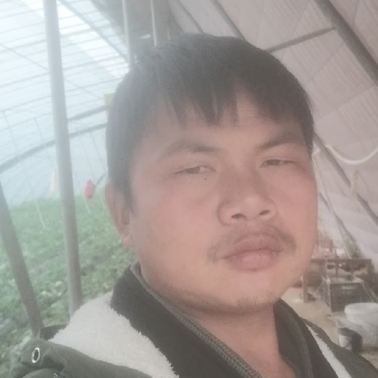 孤狼‘的第一张照片--连江相亲服务中心
