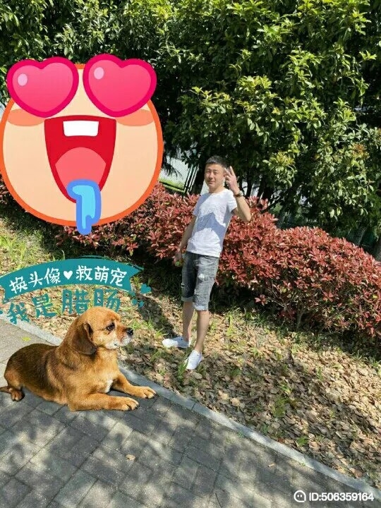 我若不坚强谁替我勇敢的第五张照片--连江相亲服务中心