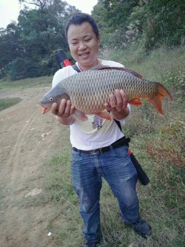 迷路的男人的第一张照片--连江相亲服务中心
