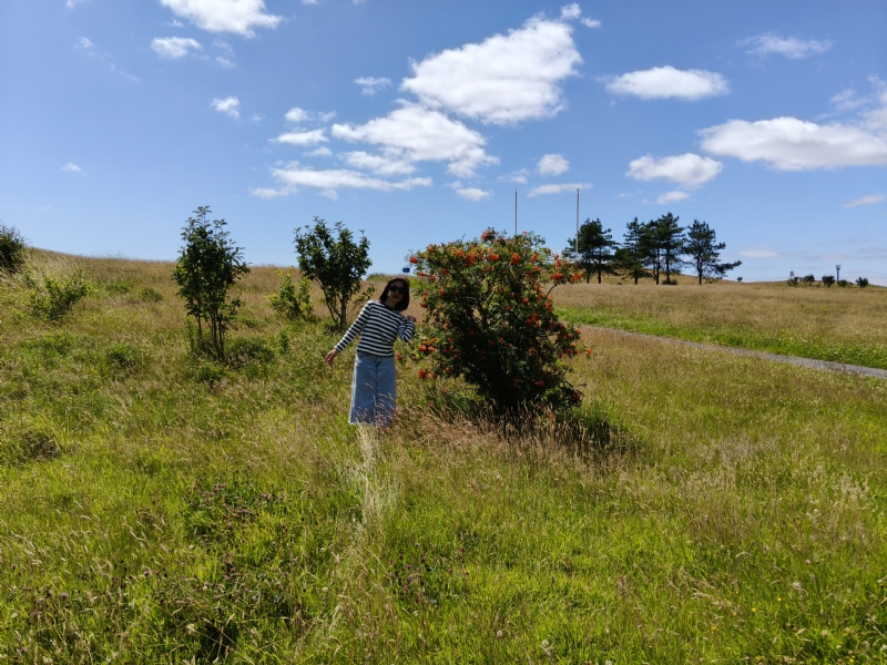 秋蝉的第一张照片--连江相亲服务中心
