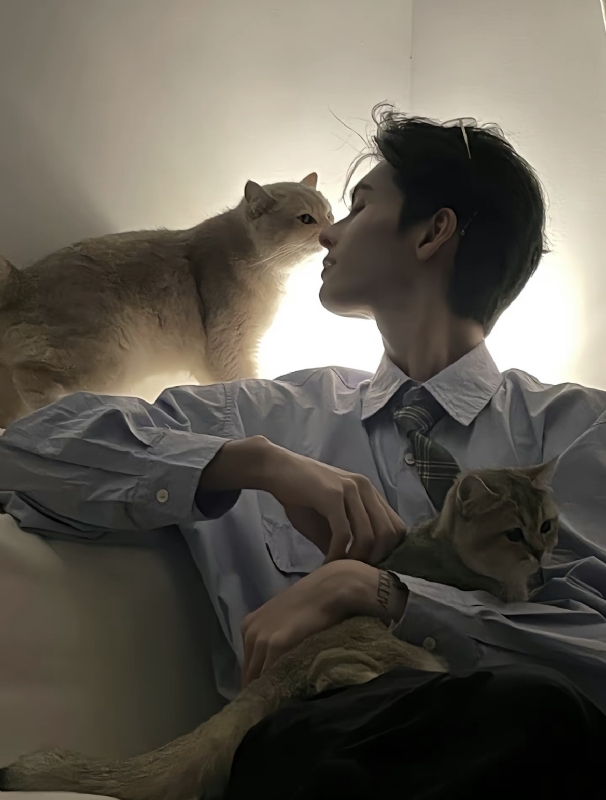 怪猫的第一张照片--连江相亲服务中心