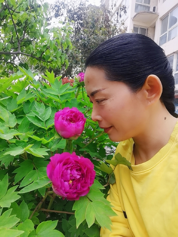厚德载物的第一张照片--连江相亲服务中心